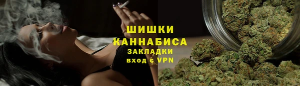 дживик Богородицк