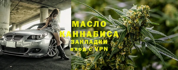 дживик Богородицк